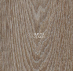 Кварцвиниловые полы Forbo Allura Click 63410CL5 hazelnut timber фото 1 | FLOORDEALER